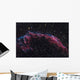 Eastern Veil Nebula Wall Decal