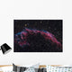 Eastern Veil Nebula Wall Decal
