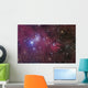 Cone Nebula Wall Decal