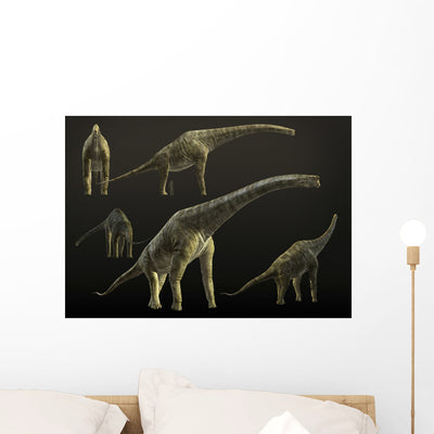 Giraffatitan Brancai Sauropod Dinosaur Wall Decal shown on a wall