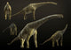 Giraffatitan Brancai Sauropod Dinosaur Wall Decal