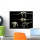 Anatomy Titanosaur Wall Decal
