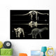 Anatomy Titanosaur Wall Decal