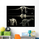 Anatomy Titanosaur Wall Decal