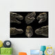Head Detail Tyrannosaurus Rex Wall Decal
