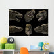 Head Detail Tyrannosaurus Rex Wall Decal