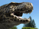 Detailed Headshot Tyrannosaurus Rex Wall Decal
