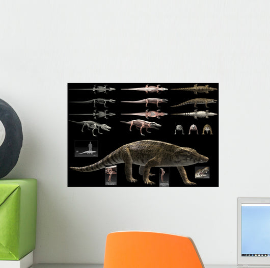 Anatomy Uberabasuchus Terrificus Wall Decal