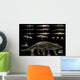 Anatomy Uberabasuchus Terrificus Wall Decal