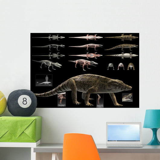 Anatomy Uberabasuchus Terrificus Wall Decal