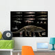 Anatomy Uberabasuchus Terrificus Wall Decal
