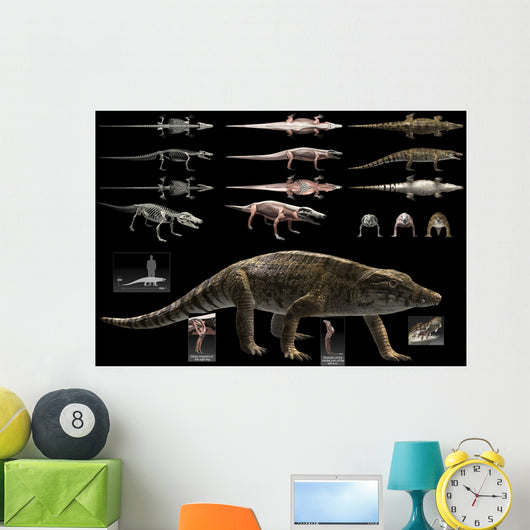 Anatomy Uberabasuchus Terrificus Wall Decal