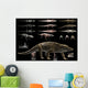 Anatomy Uberabasuchus Terrificus Wall Decal