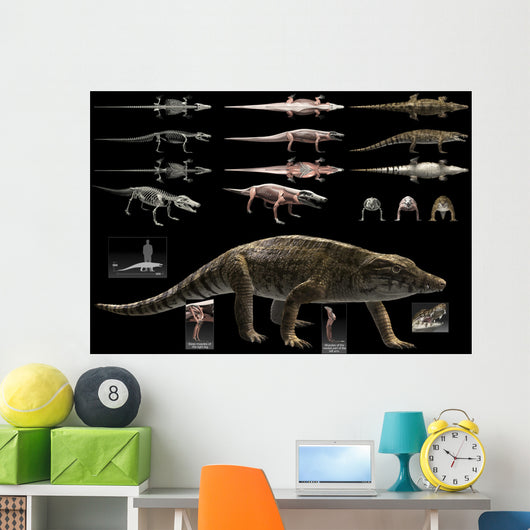 Anatomy Uberabasuchus Terrificus Wall Decal