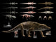 Anatomy Uberabasuchus Terrificus Wall Decal