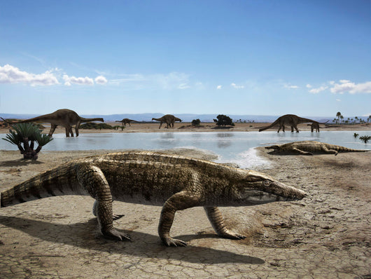 Uberabasuchus Terrificus Arid Climate Wall Decal