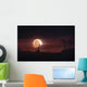Solar Eclipse over Africa Wall Decal