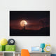 Solar Eclipse over Africa Wall Decal