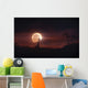 Solar Eclipse over Africa Wall Decal