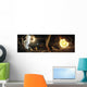 Asteroid Field Next to Wall Decal