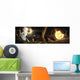 Asteroid Field Next to Wall Decal