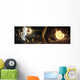 Asteroid Field Next to Wall Decal