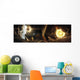 Asteroid Field Next to Wall Decal