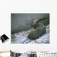 Moose Brush Wall Decal