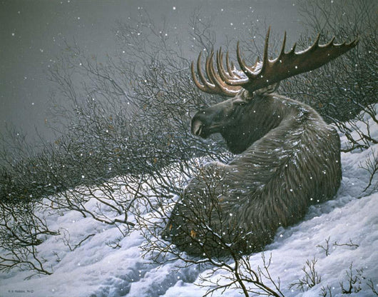 Moose Brush Wall Decal