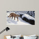 Soft Snow Cougar Wall Decal
