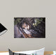 Red Squirrel Salac Wall Decal