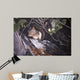 Red Squirrel Salac Wall Decal