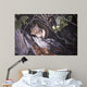 Red Squirrel Salac Wall Decal
