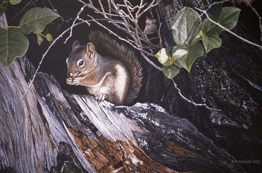 Red Squirrel Salac Wall Decal