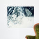 Silent Forest- Lynx Wall Decal