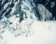 Silent Forest- Lynx Wall Decal