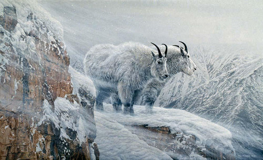 Winter's Fury Mountain Goat Wall Decal