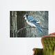 Backyard Jay Wall Decal