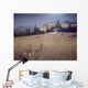 Light Window Wall Decal