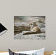 Resting Coyote Wall Decal