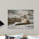 Resting Coyote Wall Decal
