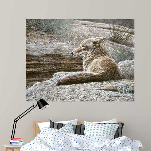 Resting Coyote Wall Decal