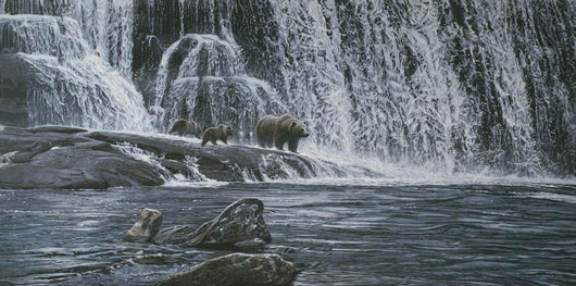 Grizzlies beneath Falls Wall Decal