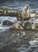 Riverside Pause- River Otter Wall Decal