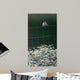 House Sparrow Daises Wall Decal