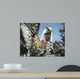Young Marmot Wall Decal