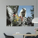 Young Marmot Wall Decal
