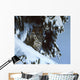 Long Eared Owl Wall Decal