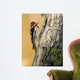 Yellow Bellied Sapsucker Wall Decal