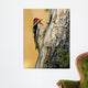 Yellow Bellied Sapsucker Wall Decal